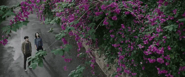 《走走停停》-20250222-2