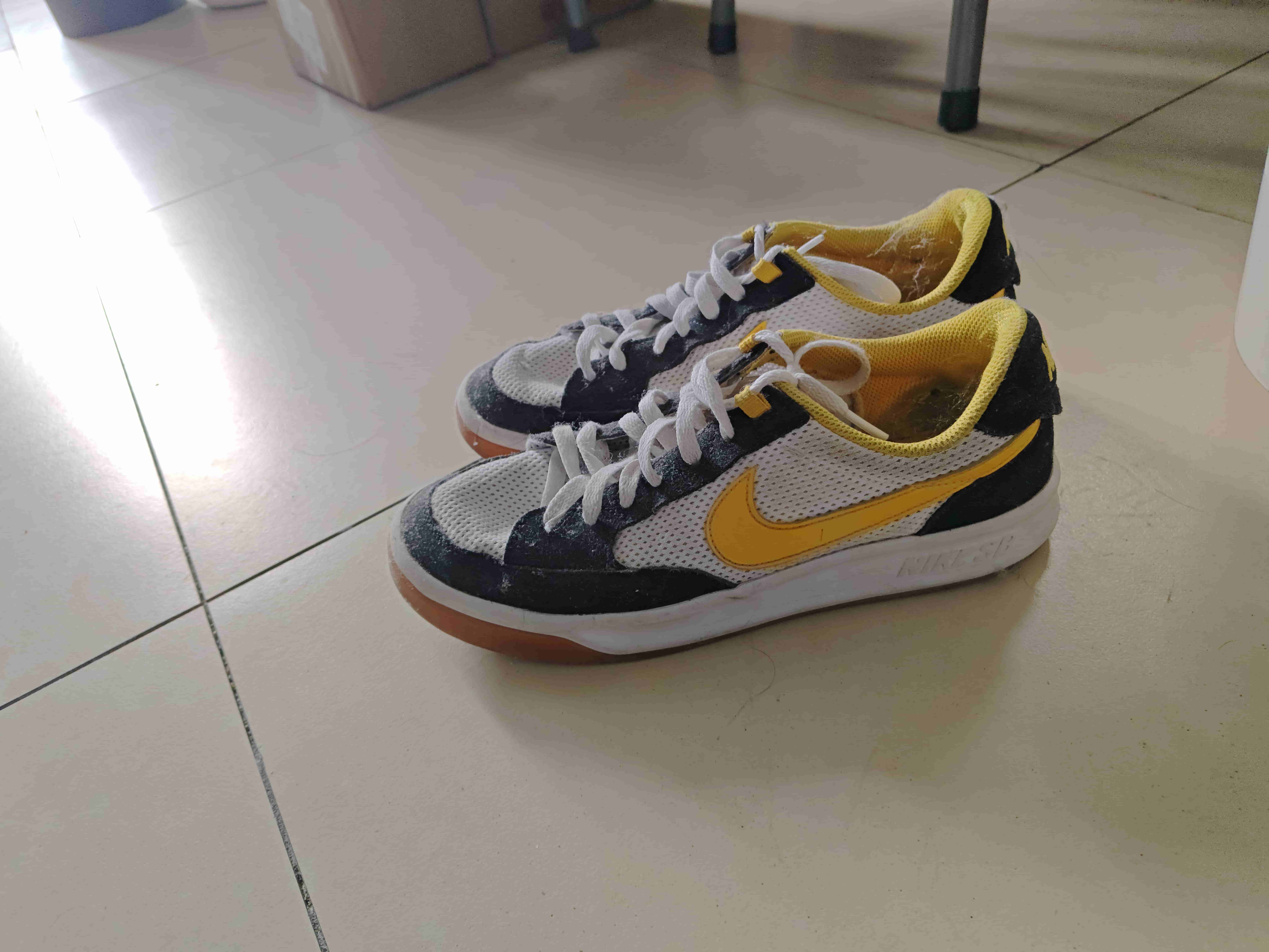 2024-10-27 Nike SB Adversary.jpg